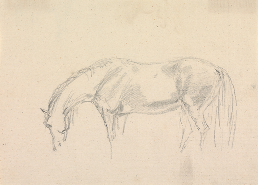 A Horse Grazing Sketch Antique Art Print: 8x10