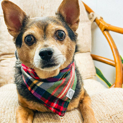 Oakley Dog Bandana | Plaid Flannel Soft Outdoor Camp Hike