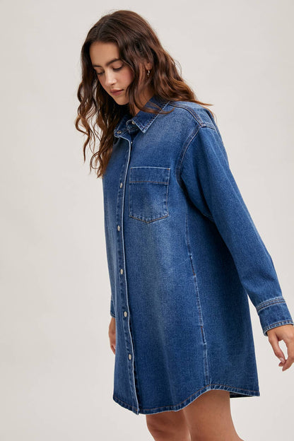 Abel Denim Button Down Shirt Dress