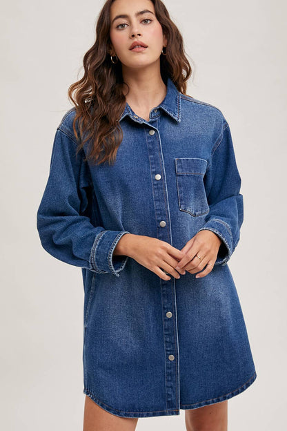 Abel Denim Button Down Shirt Dress