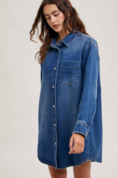 Abel Denim Button Down Shirt Dress